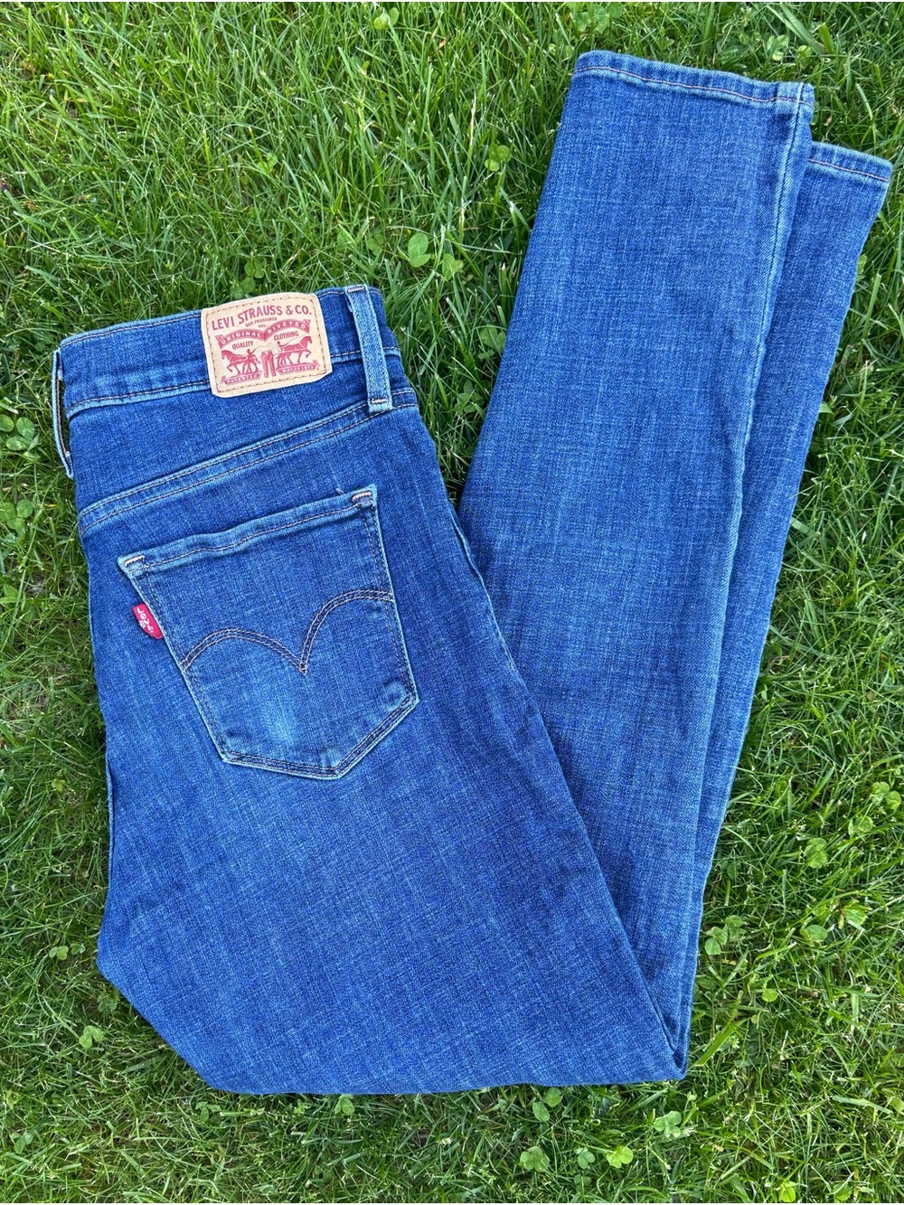 Levi's Blue Skinny Jeans